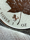 2014 Canada  5 1 Oz 9999 Silver Maple Leaf Horse Privy Reverse Proof  Bu          