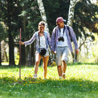 55 In Rustic Wood Walking Stick  Traditional Style Handle  For Men   Women  Tre