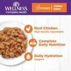 Wellness Complete Health Gravy Adult Wet Cat Food  Natural  Protein-rich  Gra   
