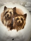Vintage Yorkies Hand Painted On A Sand Dollar 5   x 5   