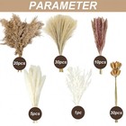 78pcs Dried Pampas Grass Decor 17 Inch Short Pampass Bulk Natural Brown 