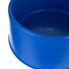 Farm Innovators Heated Pet Bowl 60 Watts Dog cat Water Bowl 1 5 Gallons  6qt  