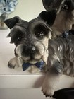Realistic Schnauzer Dogs Figurine Resin 5  Shelf Sitter Terriers