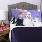 New Frozen Ii Standard Pillowcase For Kids  20x30  Inch  2 Pcs Pillowcase Only 