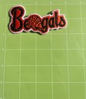 Rare Cincinnati Bengals Nfl Football Vintage Patch 4x2   