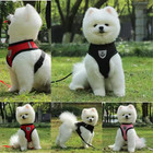 Breathable Mesh Dog Cat Harness Leash Set Puppy Kitten Adjustable Vest
