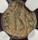 Ancient Greek Seleucid Kingdom Ngc Certified 222-187bc Coin Antiochus Iii Apollo