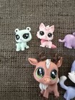 Lot Of 6 Littlest Pet Shop Figures