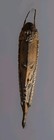 Latmul Mei Mask Wood  Sepik River Tribal Mask 19  T