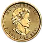 2019 Canada 1 10 Oz Gold Maple Leaf Bu