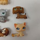 Lot Of 42 Authentic Littlest Pet Shop Figures   Accessories