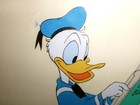 Early  Donald Duck Cel From 1959 Or Earlier- von Drake Cel Disney Production