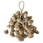 Handcrafted Cacho Seed Rattle     Natural Sound Healing Instrument  African Panji