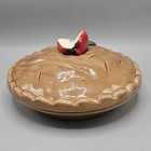 Vintage Ceramic Apple Slice Pie Dish Keeper Made In Portugal Autumn Fall Apples