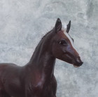 Rare 2011 Breyerfest Sr Hansel Silver Bay Haflinger Foal 800 Pieces Htf M