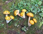 Vintage Mushroom Floral Picks 3 Yellow Retro 70s Decor Fairy Garden