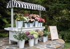 Flower Bar Rental Service All Inclusive For 20 People