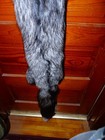 Huge Beautiful Tanned Silver Fox Fur Pelt Skin Taxidermy S5 Man Cave Log Cabin