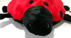 Large Ladybug Ty Beanie Baby Buddy Plush Named Lucky 9 Inches In Length 1999