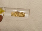 Genuine Placer Gold Nuggets Total    25 Grams   In Small Vile