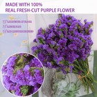 Dried Flowers Sea Lavender Bouquet - 12 Inch Real 100  Natural 1600  Purple Stat