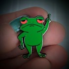 Grumpy Middle Finger Frog Enamel Pin   Brooch   Badge