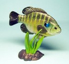 Yujin Freshwater Fish In Color Part 2 Bluegill Bream Brim Figure Us Seller