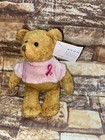 Avon Breast Cancer Crusade Teddy Bear Bean Bag Plush Toy 6  Pink Shirt 2001