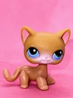 Lps Hasbro Yellow Shorthair Cat  71 - Authentic Littlest Pet Shop