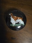 Tiffany   Co  Porcelain Hunting Dog Box - 4 d - Welsh Springer Spaniel