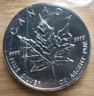 1990 Canadian Silver Maple Leaf 1 Oz 5 Dollar Coin In Plastic Sleeve -  69394