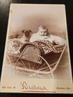 Antique Dog Photo Pug Puppy Baby Carriage  Cabinet Card Klecknen Atchison Kansas