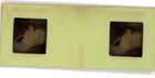 Nude 3d Stereo Transparency Slide Busty Brown Vintage 1950 s Model Pinup 11 11