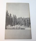 Sequoia National Park Booklet 1938