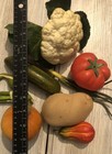Vintage Fake Artificial Veggies Vegetables Home Table Decor Decorations Gs1d25m