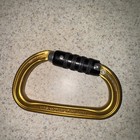 Petzl Am d Triact Autolocking Carabiner