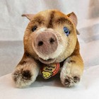 Steiff Dalle Wild Boar Mohair Vintage Toy  With Paper Tag  Numbered  Ear Button