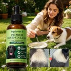 Clover Collagen For Dogs  Joint Mobility Support  Skin And Coat Supplement Drops