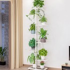 Metal Plant Stand 8-tier Heavy Duty - Holds 9 Pots  Space-saving Corner Rack