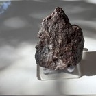 560 Gram Large Campo Del Cielo Iron Meteorite Specimen With Display Stand