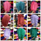 Wholesale 10-100pcs 6-24inch 15-60cm Natural Ostrich Feathers Wedding Decoration