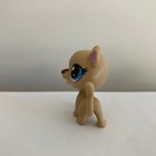     toys R Us Exclusive Littlest Pet Shop Sparkle Pets Duos Lps Brown Tiger Cat