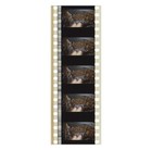 The Rocketeer - Cliff Flies Over Large Crowd - 35mm 5 Cell Film Strip 125