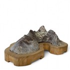 Suiseki Viewing Stone Bonsai Ornamental Stones Rock W16 8in 008