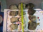 20 Lbs  6 Oz  Green Jasper   Rough  Gem Stone  Crystals Agate  Mix Lot   r460
