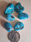 Turquoise 6 Kingman Drilled Nuggets  22 6 Grams Make Offers 