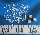   Gem Shells   100 Natural White tan purple   Shellcraft   Sailor s Valentines  