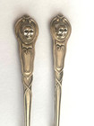 Ant  Poison Memento Mori Skull Doctors Medicine Solid Silver Spoon Paddle Set