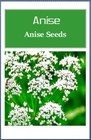 Anise Seeds    Non-gmo   Heirloom   Fresh Garden Seeds