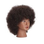 Traininghead 100  Real Hair Mannequin Head Training Head Cosmetology Doll Hea   